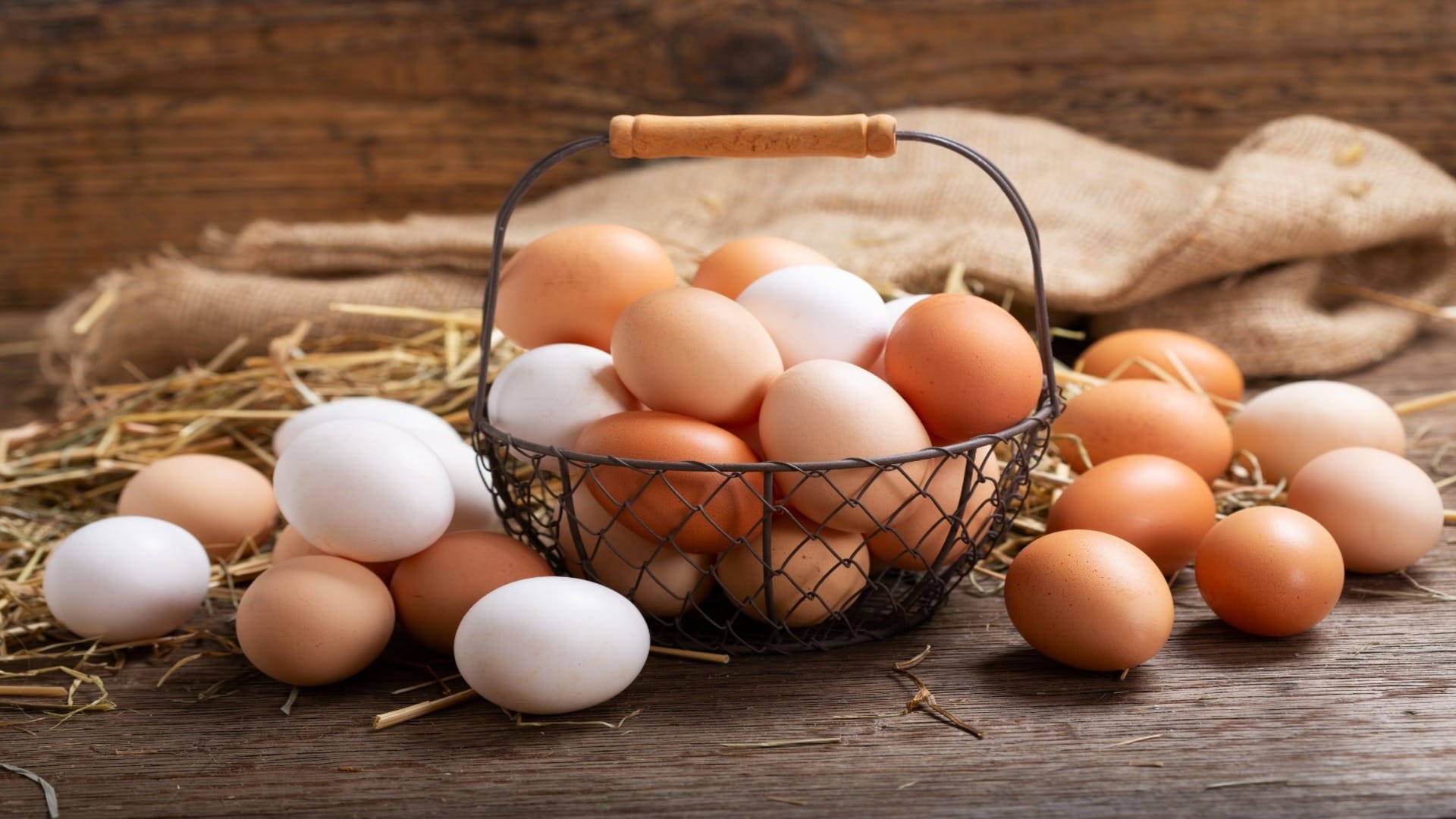 How To Check Purity Of Eggs Know Testing Methods Here