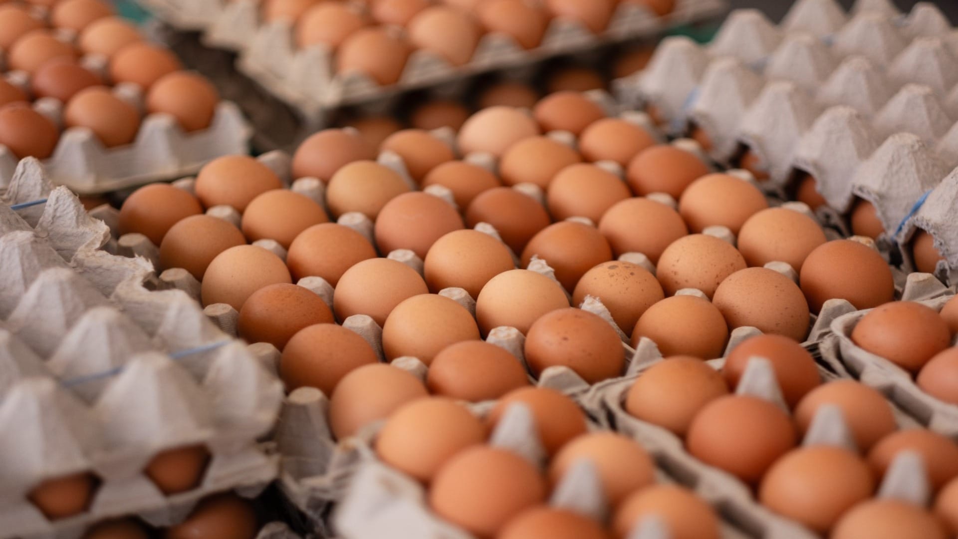 How To Check Purity Of Eggs Know Testing Methods Here