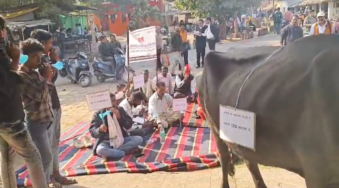 MP News: Buffalo tied in district panchayat and played the 'tune of corruption'