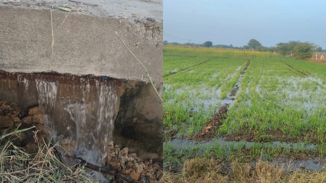 Kekri Thousands gallon of water wasted due to leakage Bisalpur pipeline wheat mustard crops submerged in water