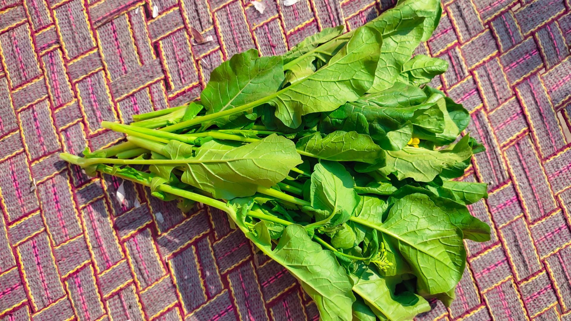 tips to make sarson ka saag at home in hindi