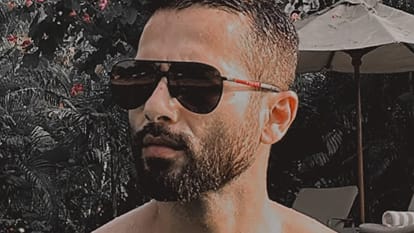 Bollywood Actor Shahid Kapoor Upcoming Movies and Web Series Deva Farzi2 Bull