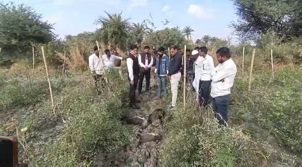 आठ मोरों की मौत