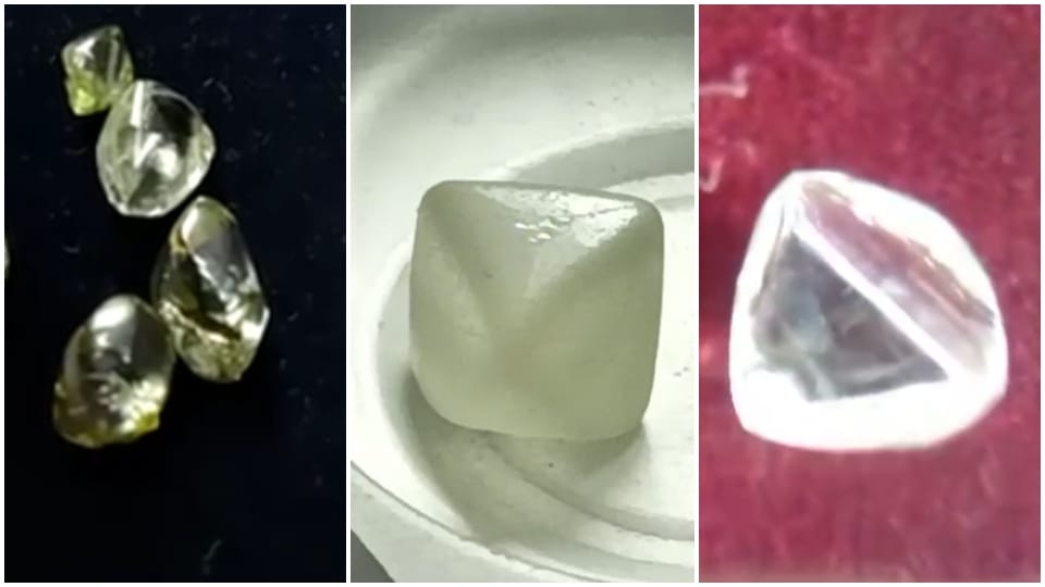 MP News: Auction of precious stones from tomorrow in Panna 32 carat diamond will be sold