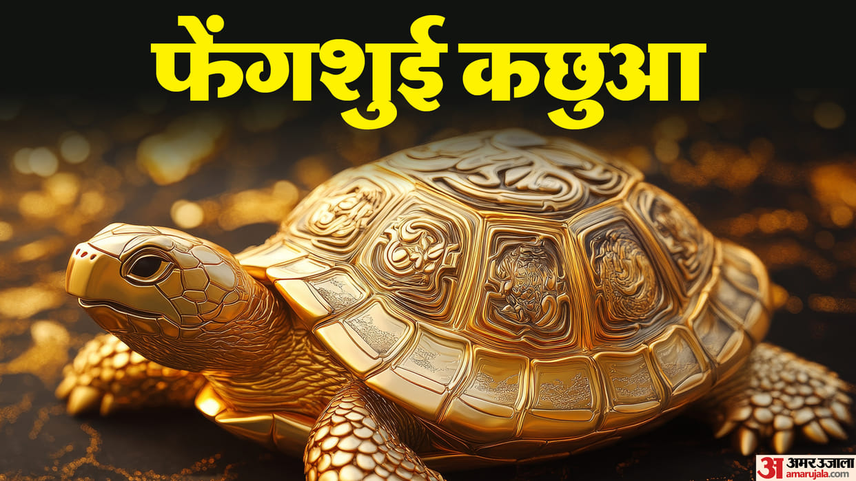 Feng shui tips Keep a feng shui turtle at home feng shui kachua ke fayde
