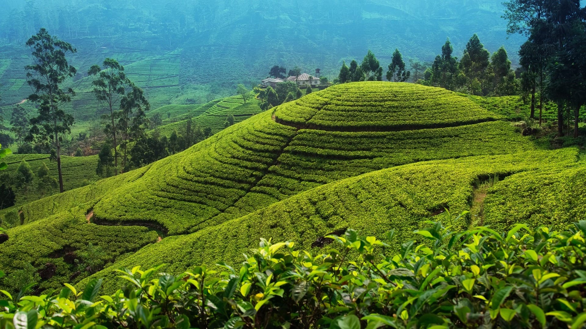 IRCTC Sri Lanka Ramayana Tour Package 2024 From Hyderabad Check Fare Details