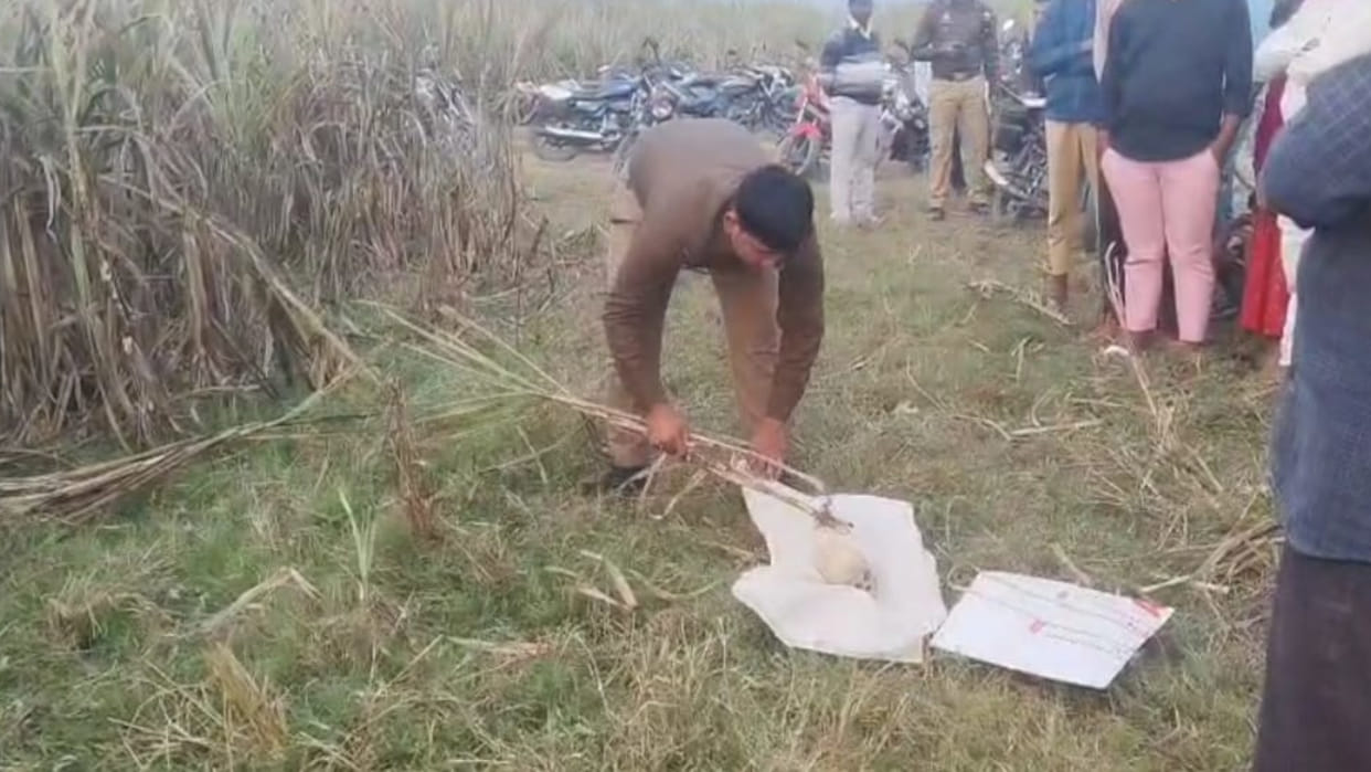 The skeleton of a child's skull was found buried in the ground in Kushinagar.