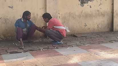 white-collar people are running drug business under guise of drug addicts In Lucknow