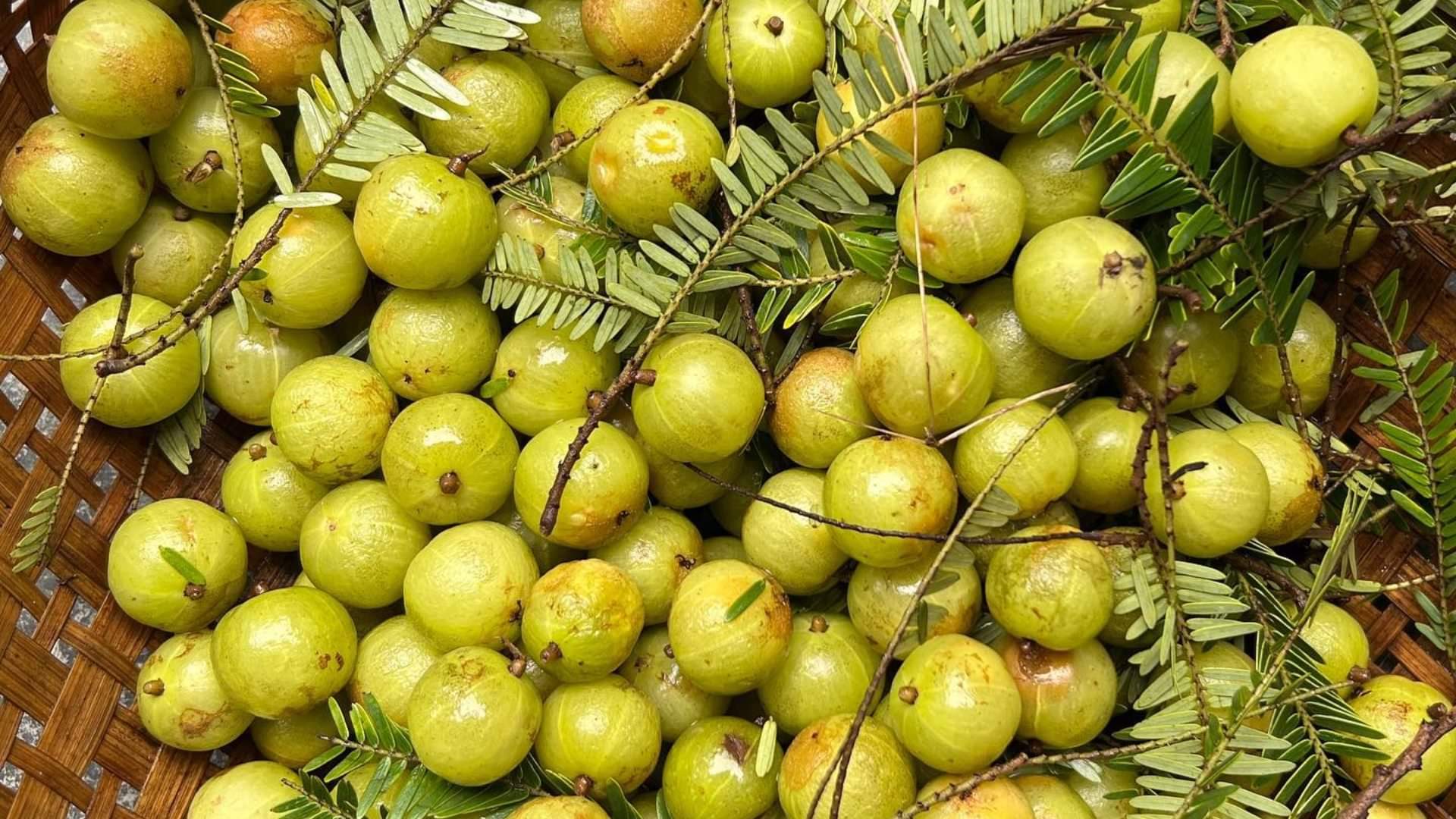 Hair Care Tips In Hindi Natural Remedies To Keep Hair Shiny and Manageable