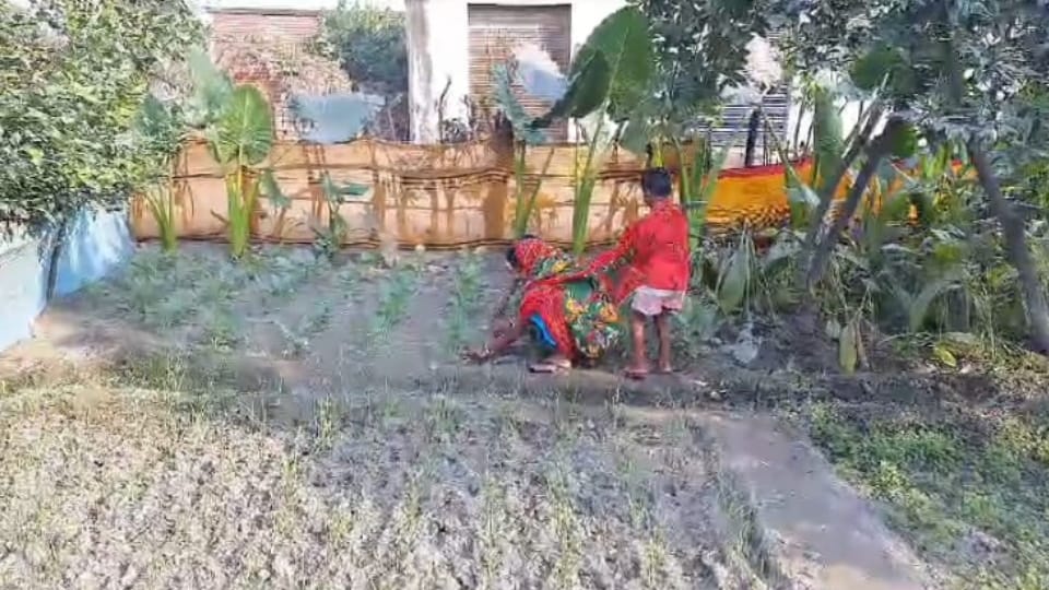 Exclusive: There was no solution to the problem of water drainage, the villagers found a solution that changed