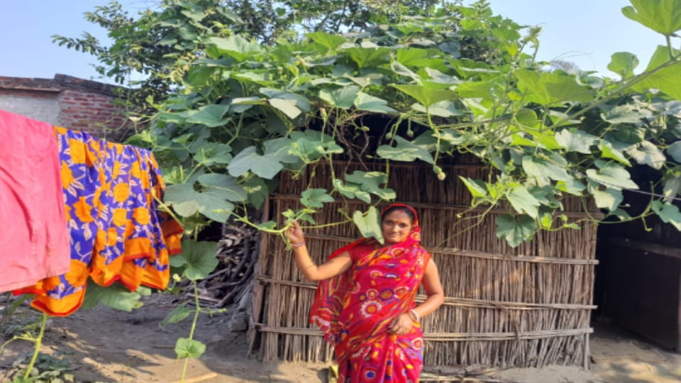 Exclusive: There was no solution to the problem of water drainage, the villagers found a solution that changed