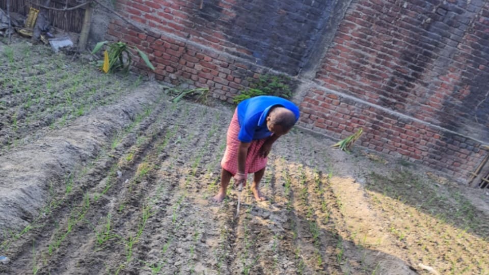 Exclusive: There was no solution to the problem of water drainage, the villagers found a solution that changed