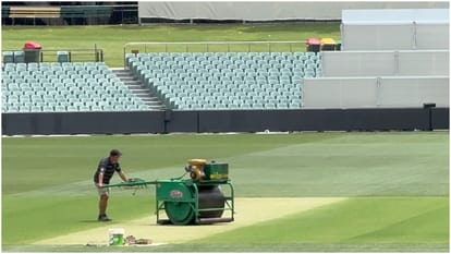 IND vs AUS: Australia special preparations to win Adelaide Test, pitch curator big revelation, plan to leave '