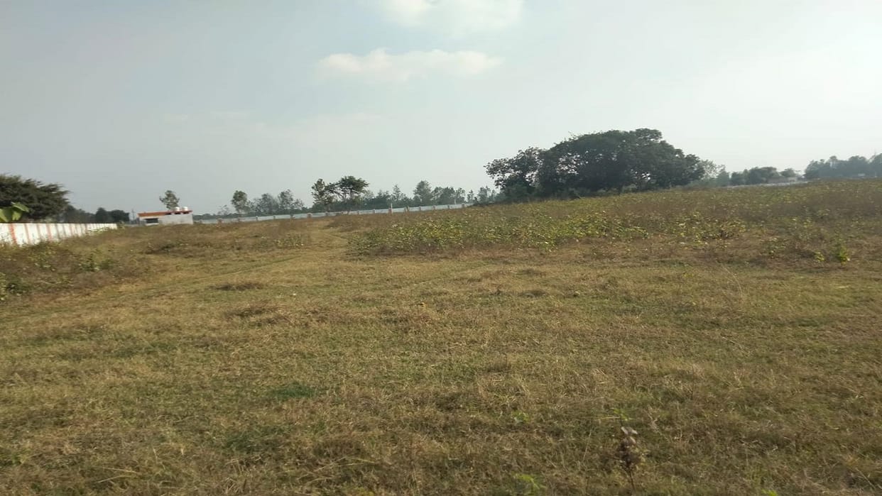Mini stadium facilities locked ground lost in bushes in bareilly