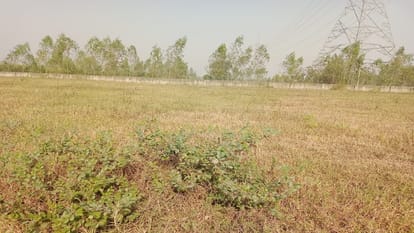Mini stadium facilities locked ground lost in bushes in bareilly