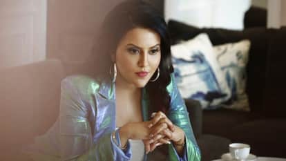 Who is Maharashtra New Chief minister Devendra Fadnavis Wife Amruta Fadnavis