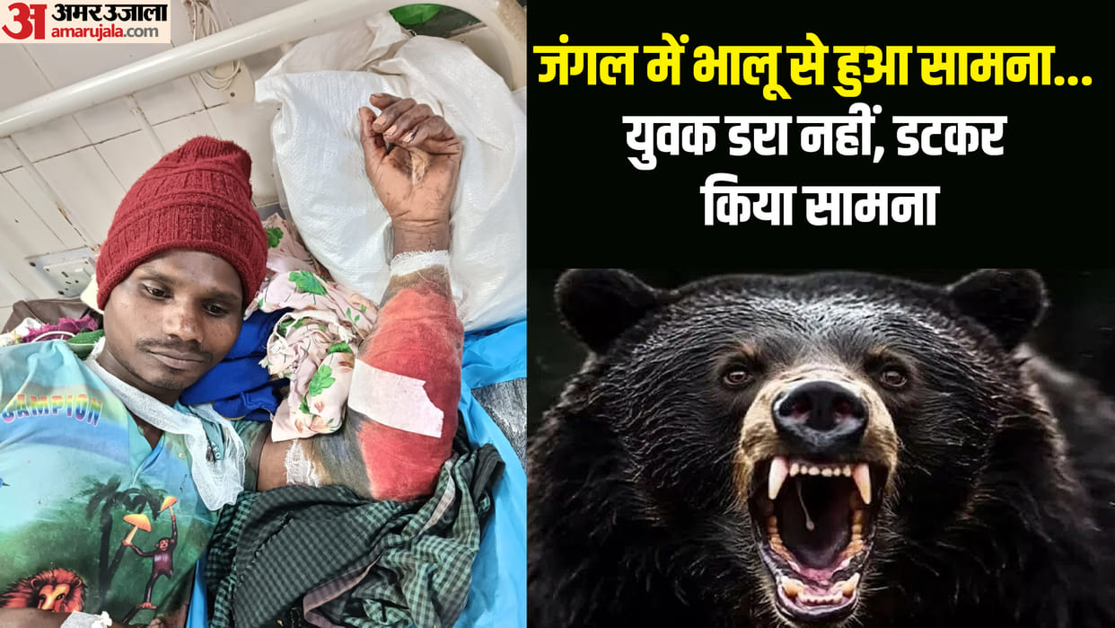 A bear attacked a villager who was removing wires from his field