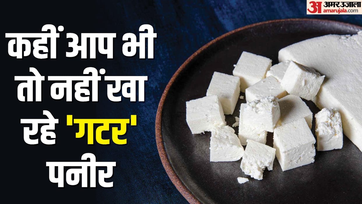 food department team raided a chemical-based cheese factory in Khurja