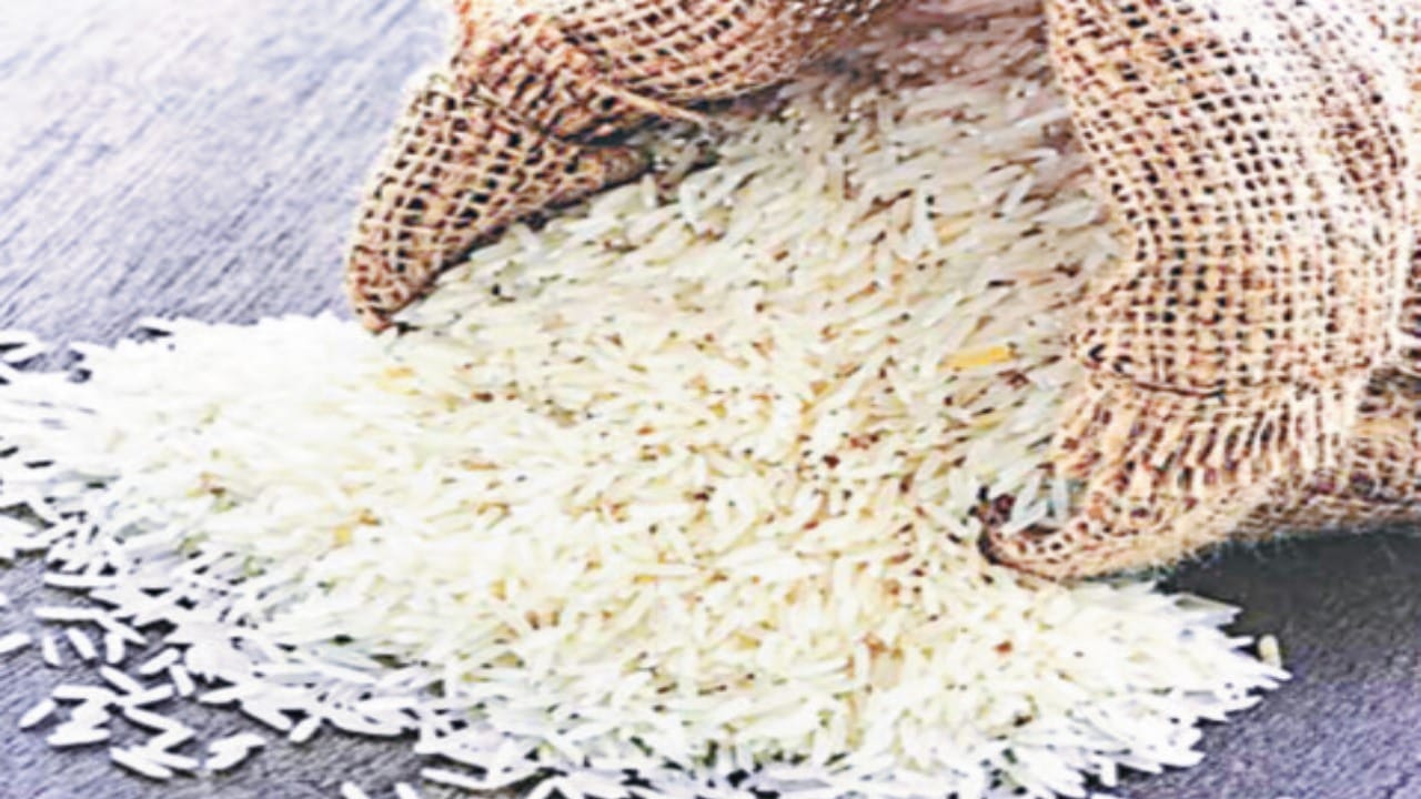 Know The Simple Tricks to Protect Rice and Pulses From Insects Other Details Inside