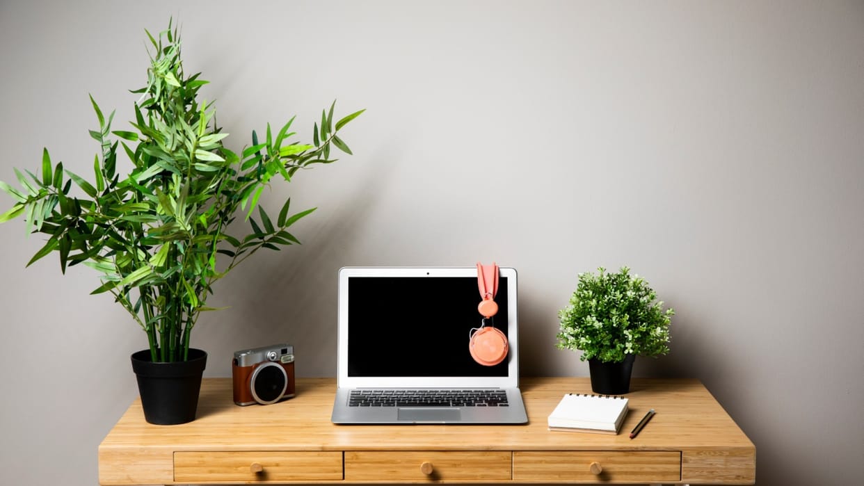 Never keep this plant on the office table Vastu Tips for office