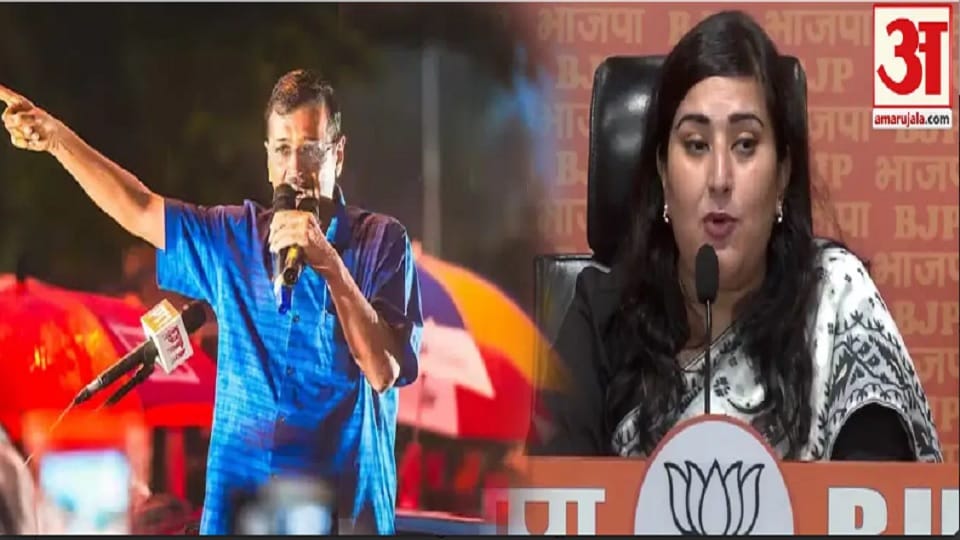 Delhi Assembly Elections: Politics over votes in Delhi before the assembly elections