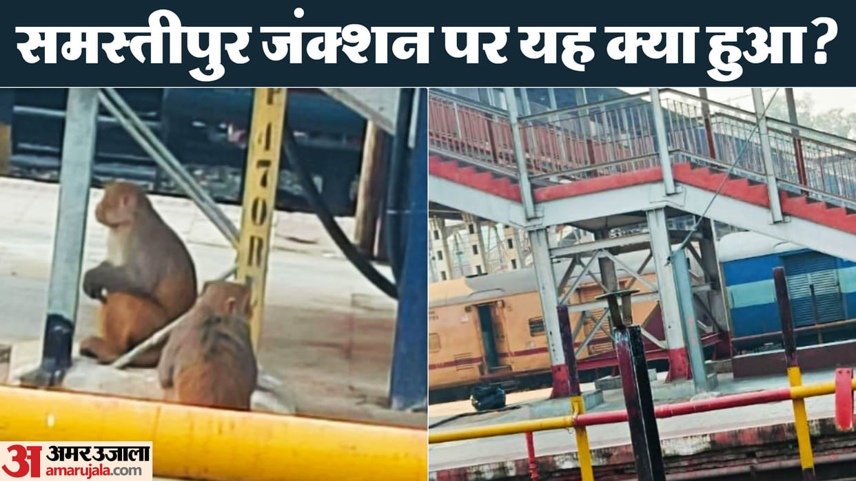 Bihar News: How monkey fight stopped running train status in samastipur bihar news in hindi