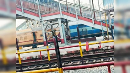 Bihar News: How monkey fight stopped running train status in samastipur bihar news in hindi