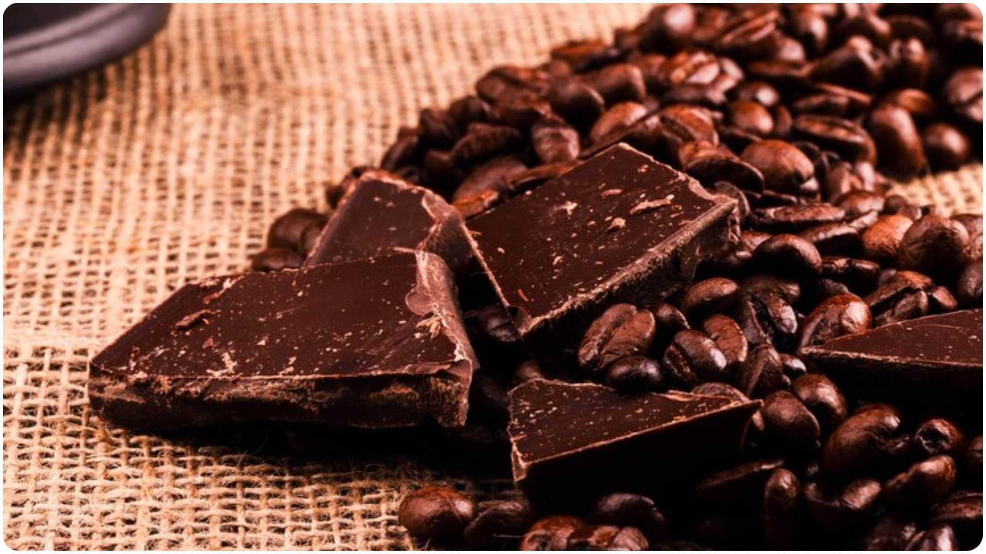 Fatty Liver Risk Reduced By Dark Chocolate Know Research Details in Hindi