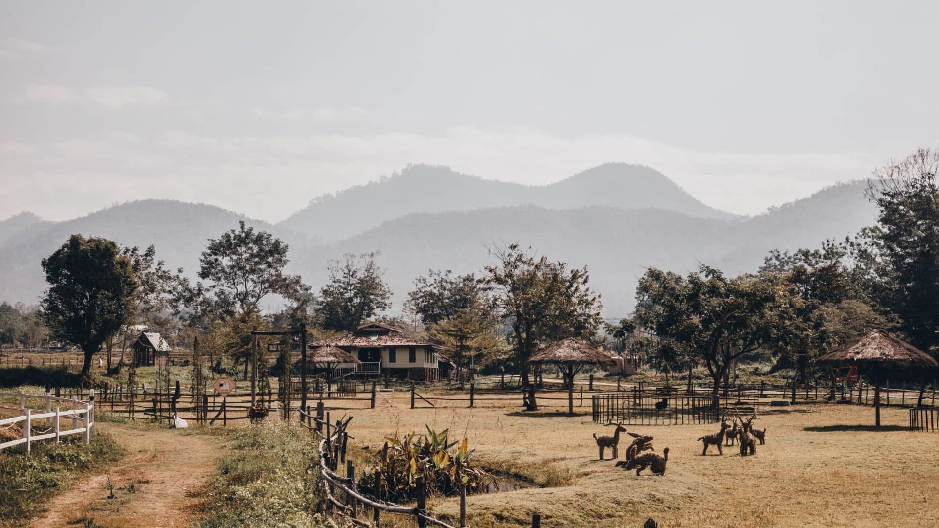 Kongthong Meghalaya Whistling Village Of India Where People Call Each other by Whistle