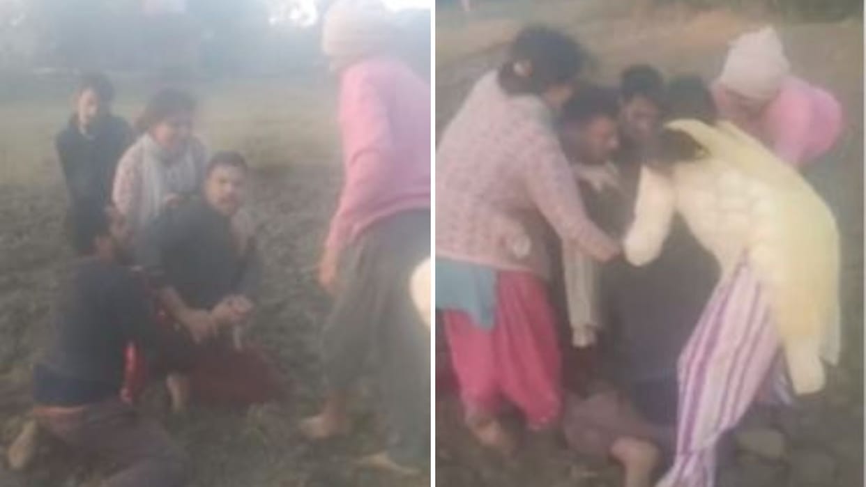 Azamgarh News Uncle nephew thirsty blood beat women FIR lodged against five people