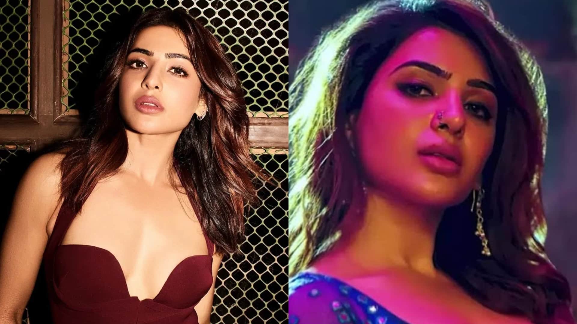 Tamannaah Bhatia Perform Samantha Ruth Hit Dance Number In Dabangg Tour Song Is From Film Pushpa