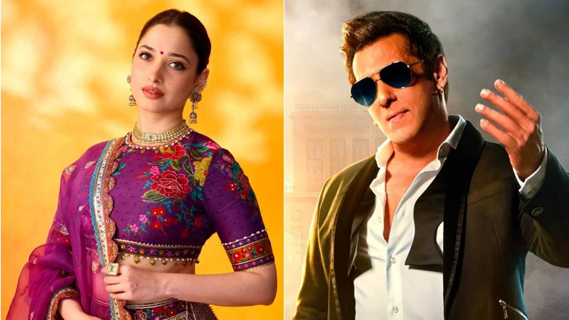 Tamannaah Bhatia Perform Samantha Ruth Hit Dance Number In Dabangg Tour Song Is From Film Pushpa