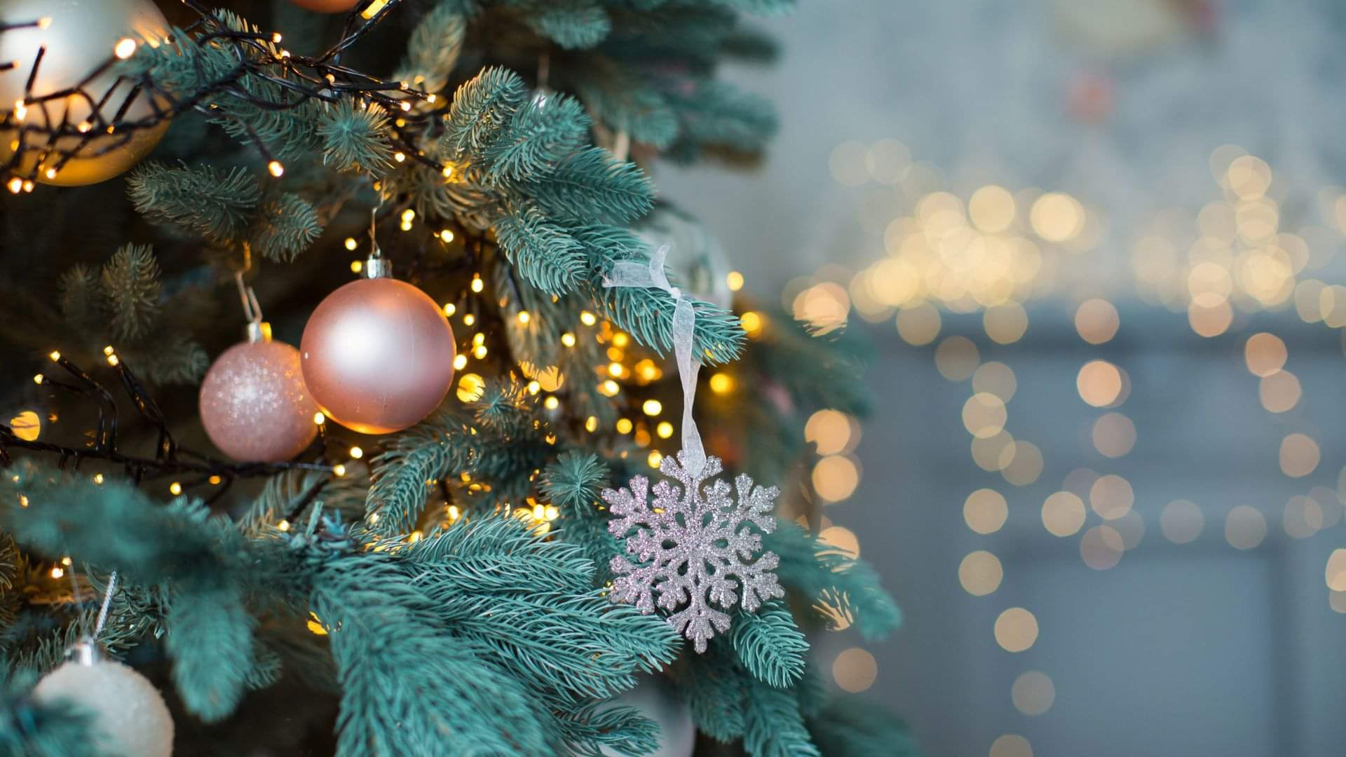 What is the history of decorating the Christmas tree Know the story of child sacrifice in hindi