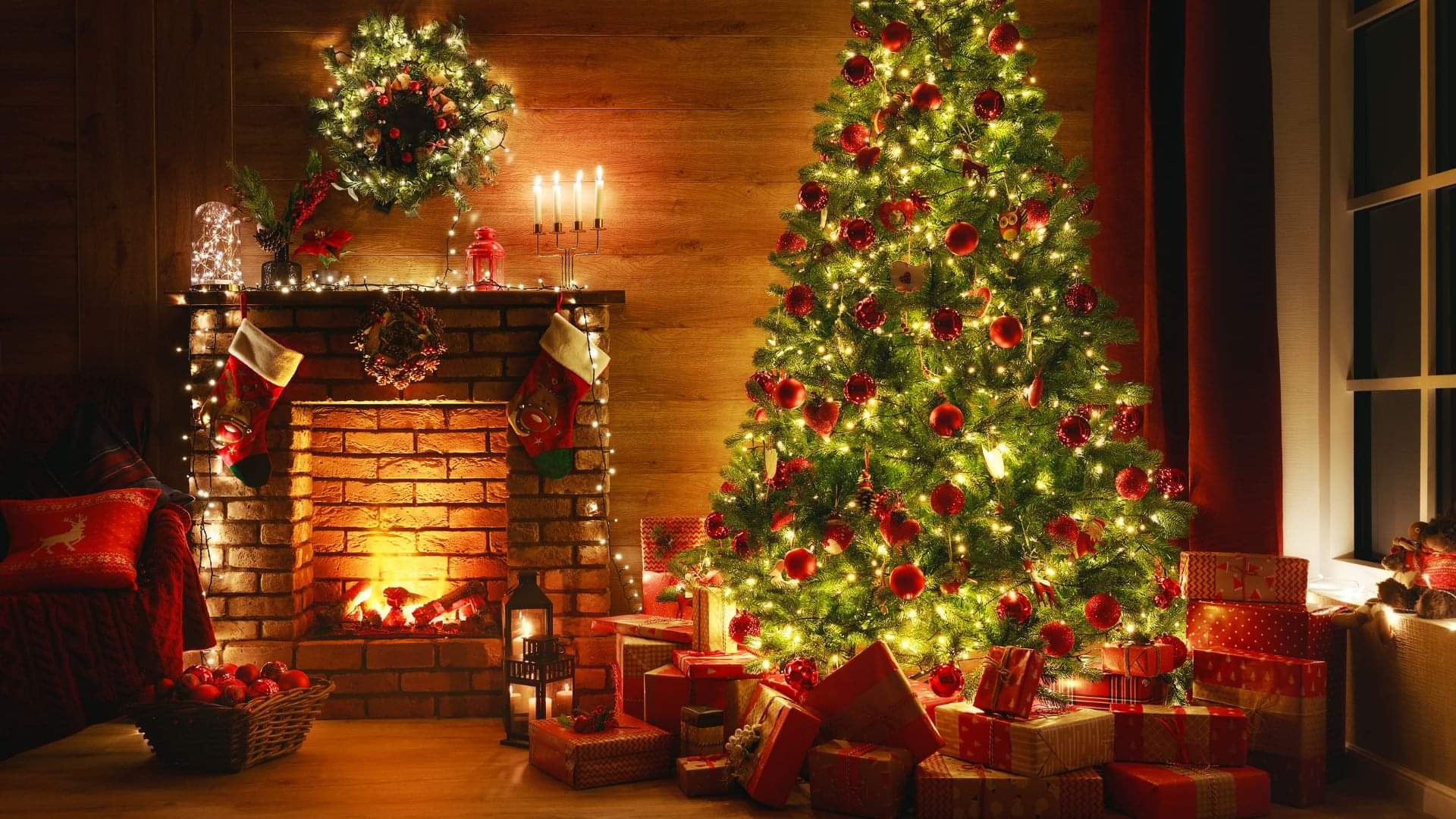 What is the history of decorating the Christmas tree Know the story of child sacrifice in hindi