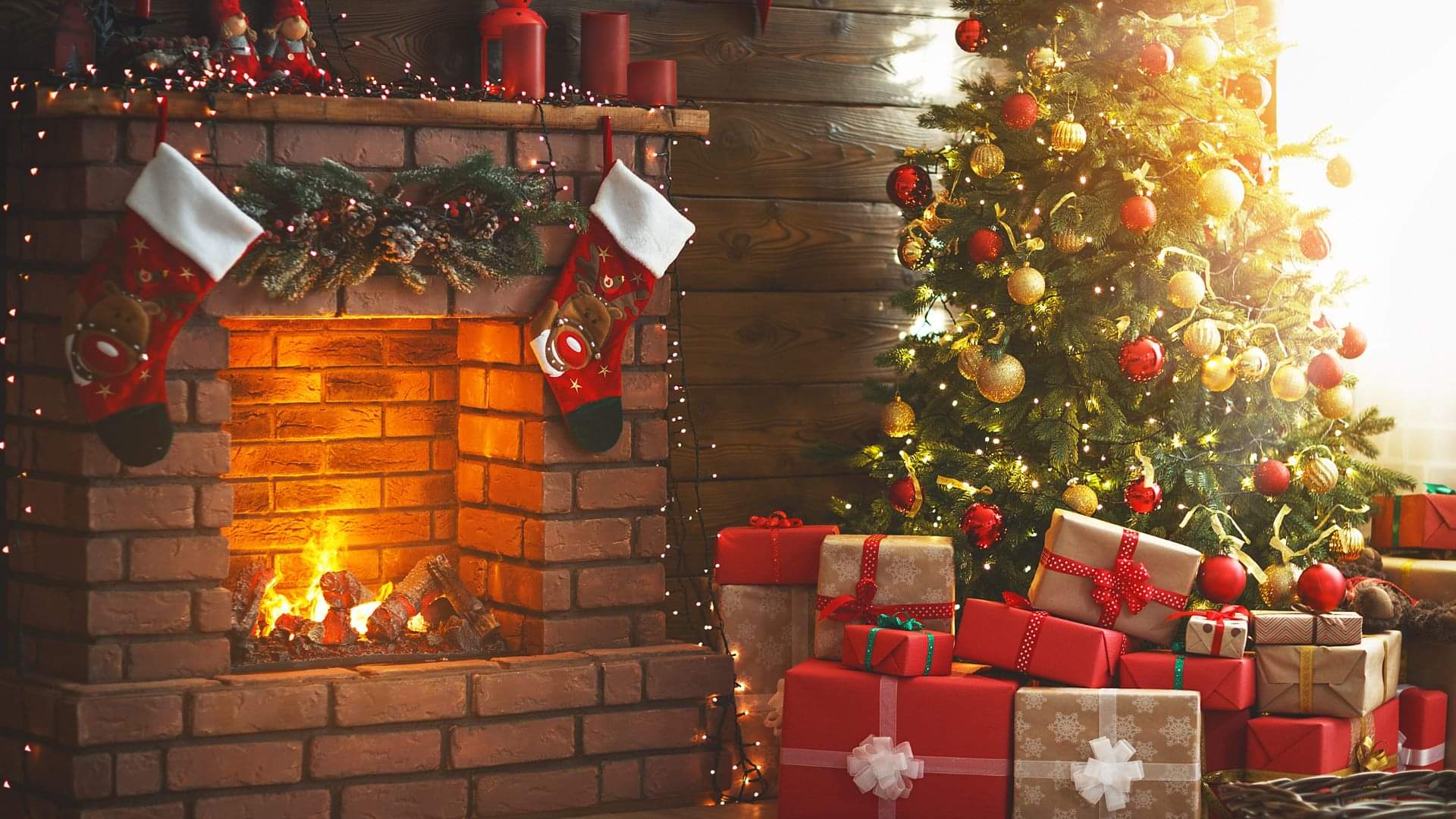 What is the history of decorating the Christmas tree Know the story of child sacrifice in hindi