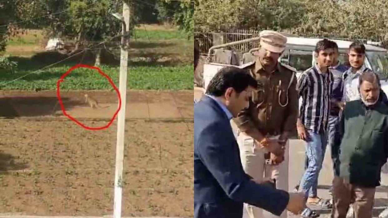 Alwar News: After Alwar, now leopard seen near school in Behror