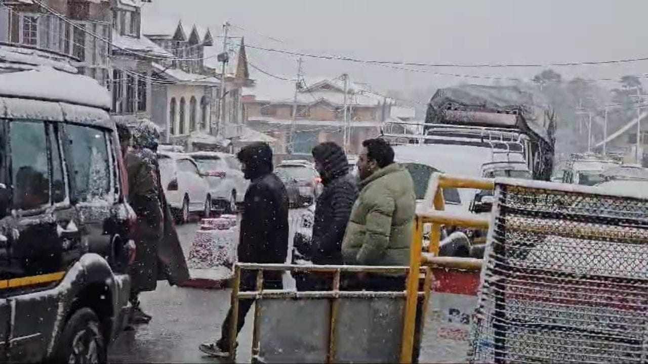 Jammu Kashmir Tangmarg: Beautiful glimpse of snowfall in Tangmarg of Kashmir, weather changed the picture