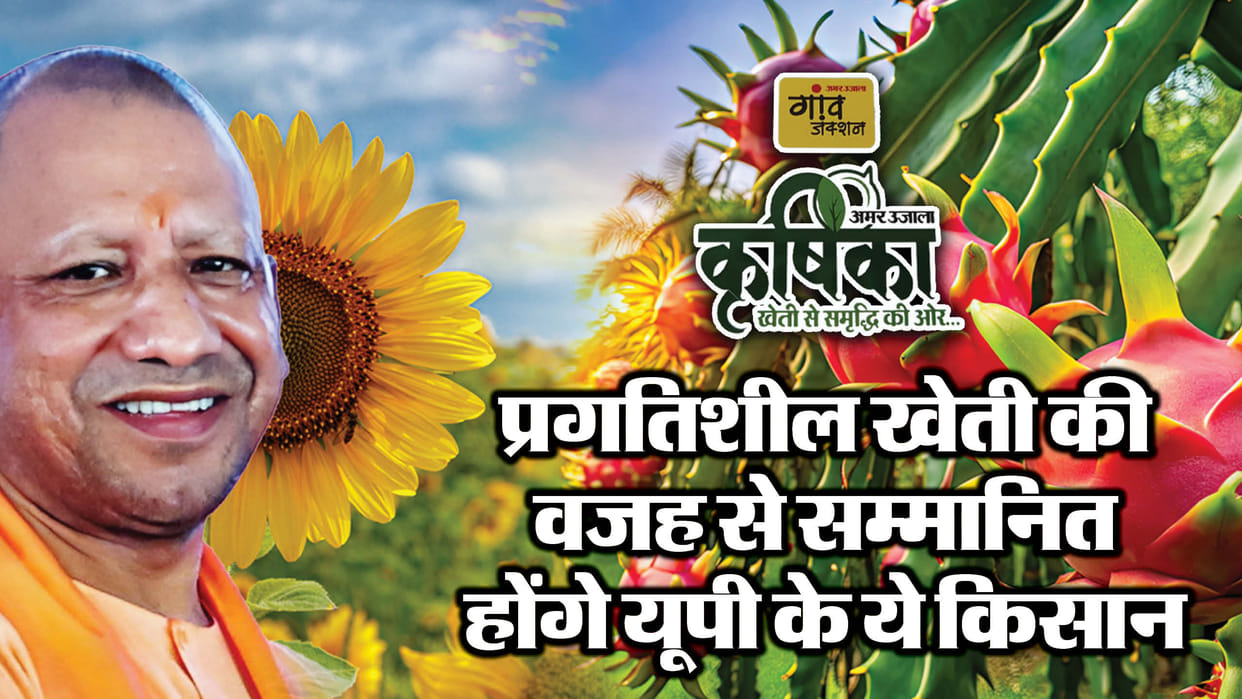 Amar Ujala Krishika: These farmers will be respected because of their experimentalism, some grew dragonfruit a