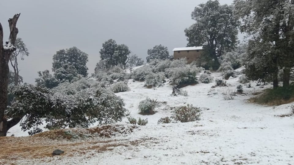 First snowfall of the year in Ranikhet