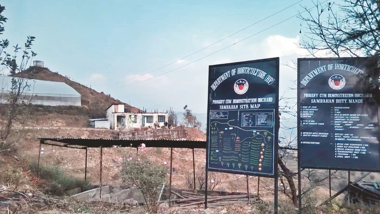 country first clean plant center will be established in Samrahan of Mandi Himachal
