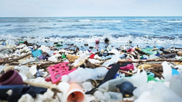 Environment in danger due to arbitrariness of big countries make conferences justifiable in organising
