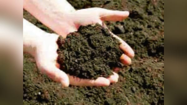 FAO Report Climate Change Human Activities soil health 90 percent under threat in 25 years