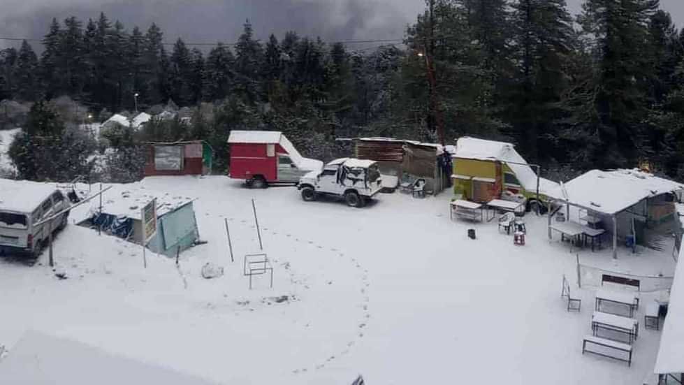 Snowfall in Auli A day before Christmas heavy snowfall tourists flocked to Auli Uttarakhand Watch Photos