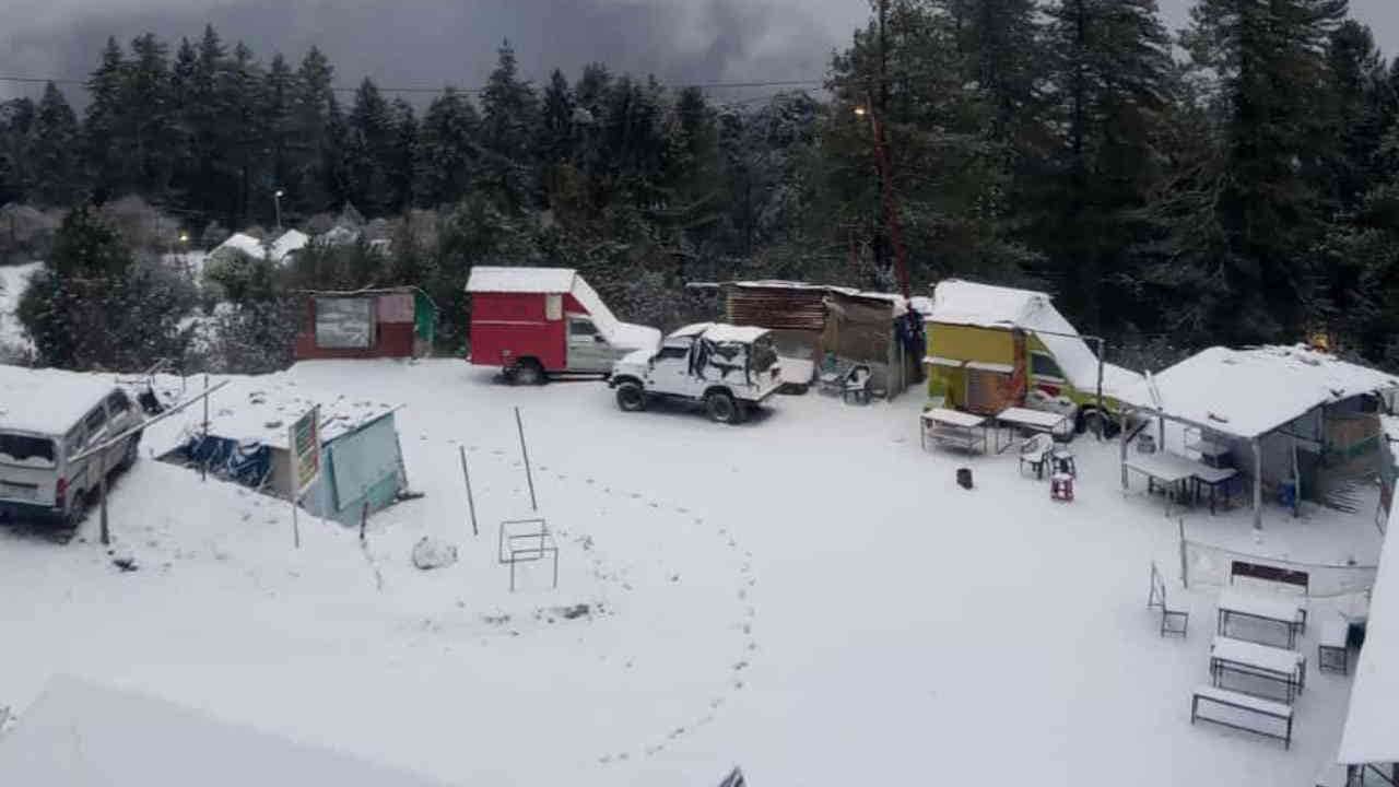 Snowfall in Auli A day before Christmas heavy snowfall tourists flocked to Auli Uttarakhand Watch Photos