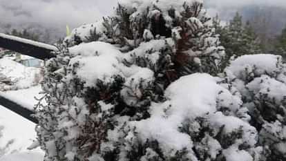 Snowfall in Char Dham season first snowfall increased cold harsil Gangotri yamunotri kedarnath Badrinath