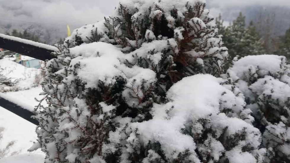 Snowfall in Auli A day before Christmas heavy snowfall tourists flocked to Auli Uttarakhand Watch Photos