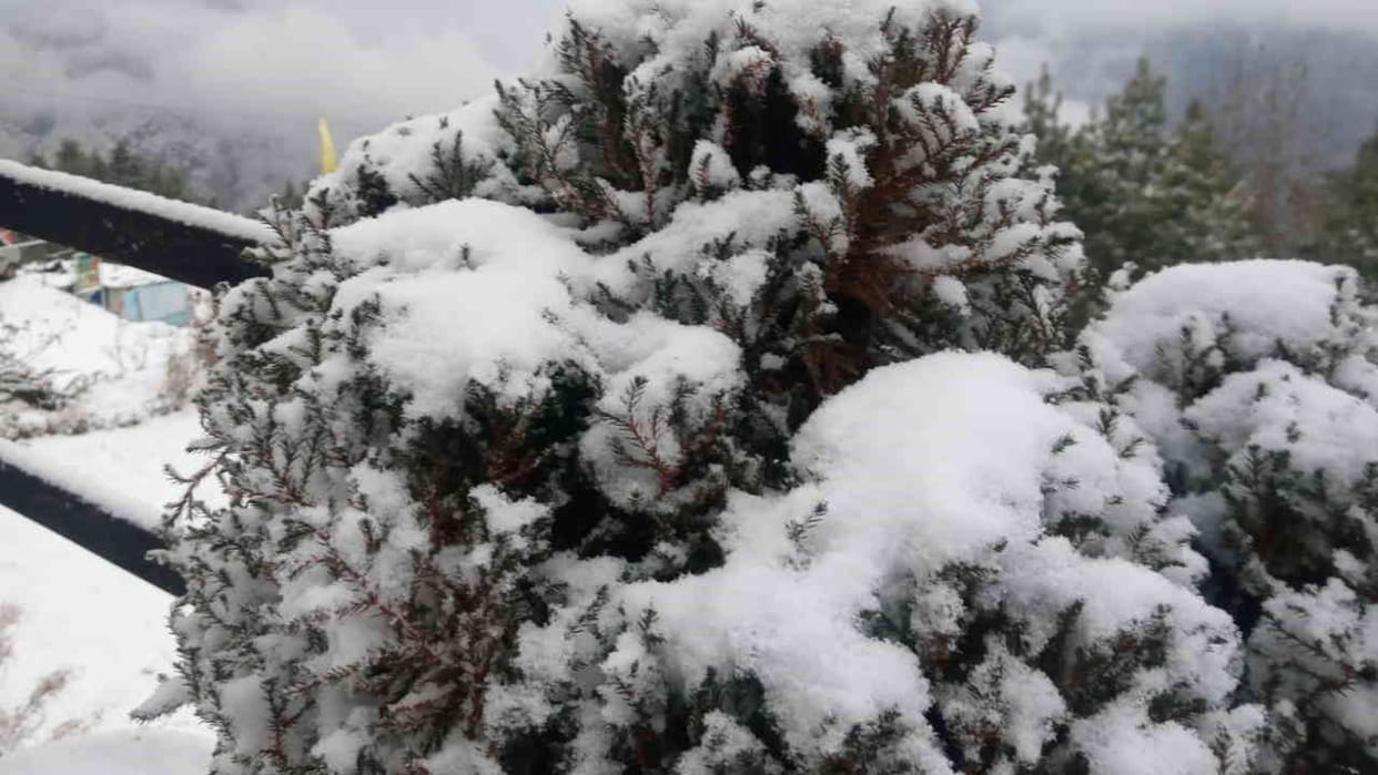 Heavy snowfall on peaks in western Himalayan states including Jammu and Kashmir