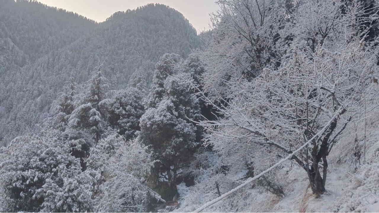 Snowfall Auli Tourists reached Auli enjoyed the snow and also took selfies Uttarakhand News in hindi