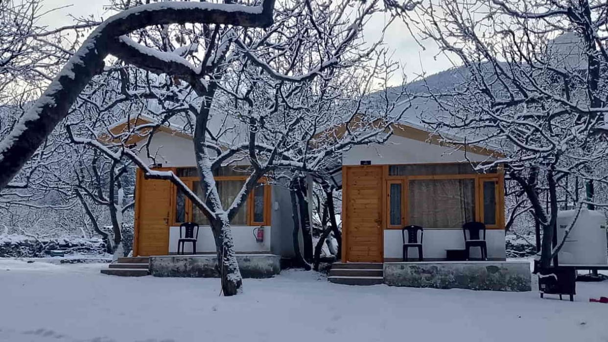 Uttarakhand Weather Update After rain snowfall cold wave will increase Yellow alert of cold wave across
