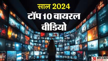 साल 2024 में इन 10 वीडियो ने सोशल मीडिया पर मचाया तहलका
